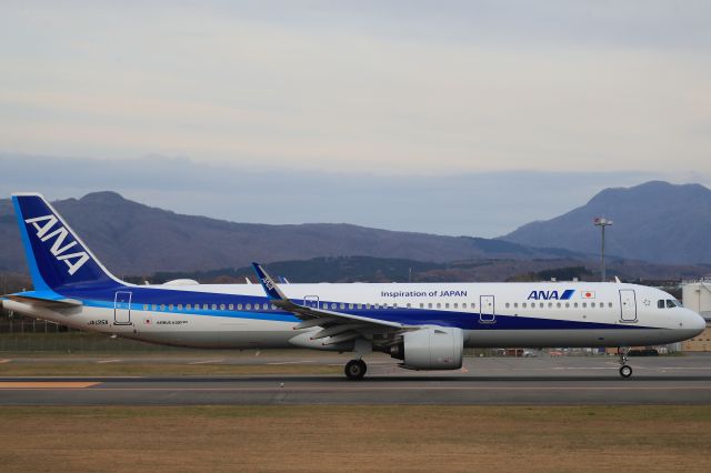 Airbus A321 (JA135A) - November 11th 2019:HKD-HND.