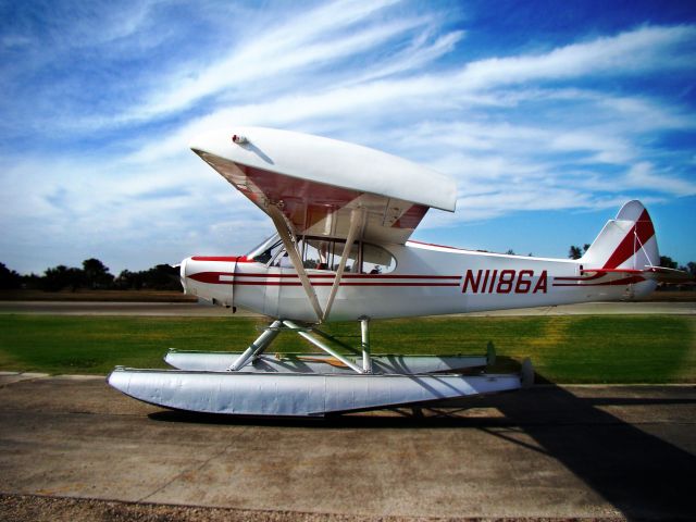 Piper L-21 Super Cub (N1186A)