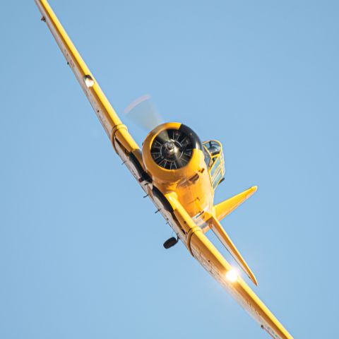 North American T-6 Texan (001)