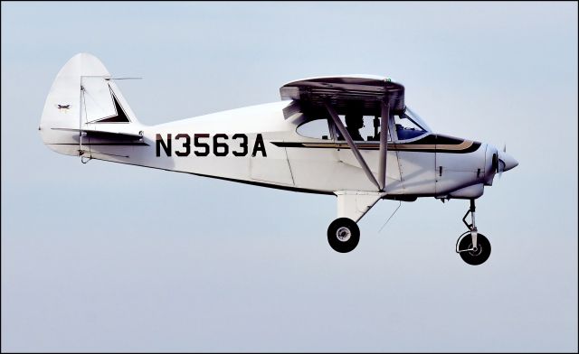 Piper Cherokee (N3563A) - PA-22 Tri-Pacer