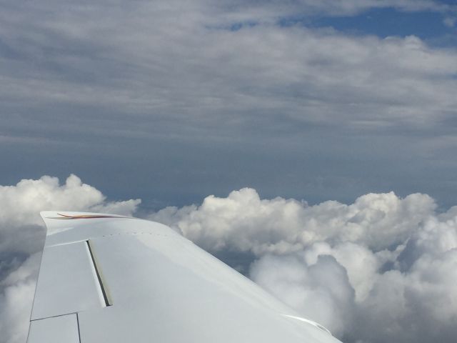 Cirrus SR-22 (N420BL)