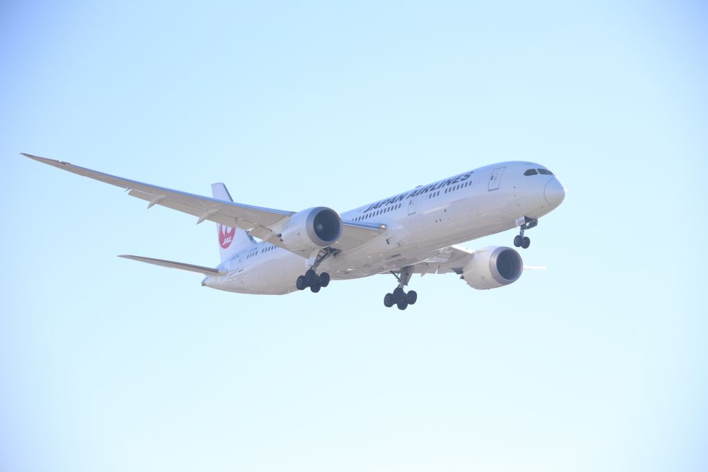 Boeing 787-9 Dreamliner (JA876J)
