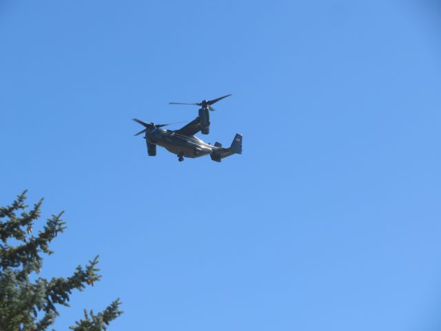 — — - Heard a loud rumbling getting closer and closer. Ran outside to see three Marine Corps Osprey flying over. The President was going to Lake Tahoe for a vacation.