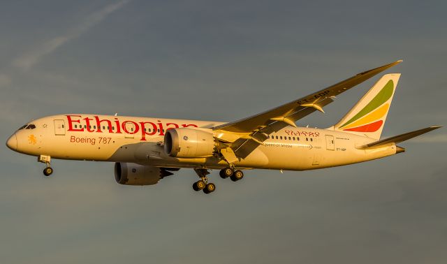 Boeing 787-8 (ET-AOP) - Arriving from Dublin ET502 catches the first rays of sun, on short finals for runway 23 at YYZ