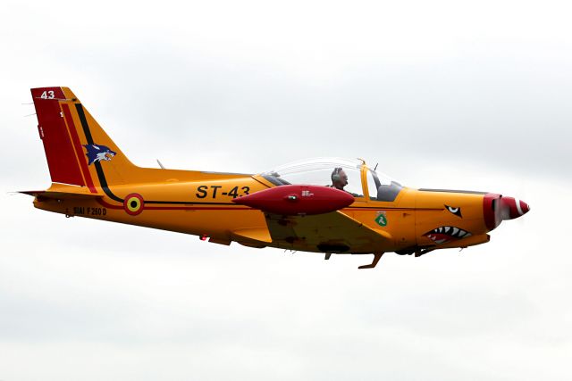 SIAI-MARCHETTI Warrior (BAFST43) - BELGIAN AIR FORCE