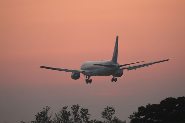 BOEING 767-300 (JA8669) - July 14th 2017:HND-HKD.