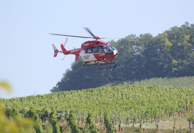 D-HDPP — - Rettungshubschraubereinsatz (Christopher 51, CHX51) am 30.06.2018 in den Weinbergen zwischen Kleinbottwar und Großbottwar.