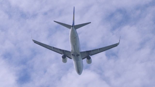 Boeing 737-800 (JA73NQ)