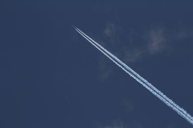 — — - Airline TAP Air Portugal flies at cruising altitude above Nieuwkoop.
