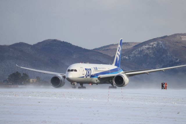 Boeing 787-8 (JA818A) - December 8th 2019:HKD-HND.