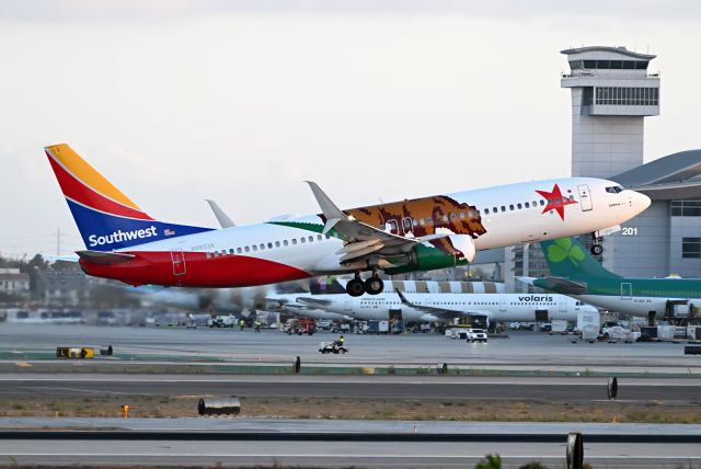Boeing 737-800 (N8653A)