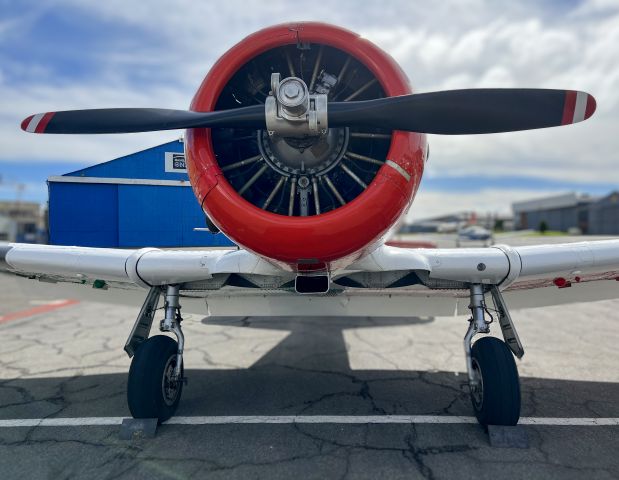 North American T-6 Texan (ZU-BEU) - 22 JAN 2022