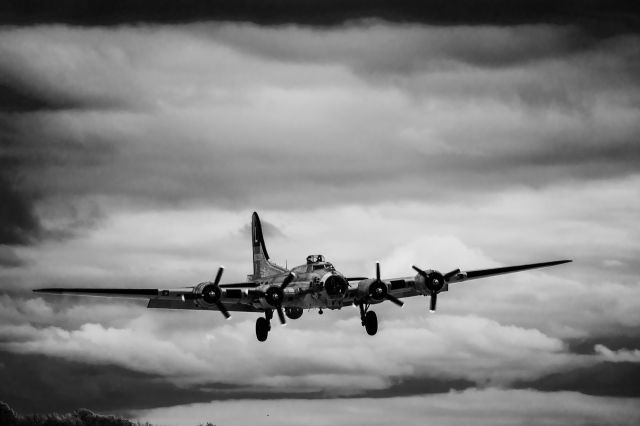 Boeing B-17 Flying Fortress (N3193G) - The Yankee Lady B-17 on final.