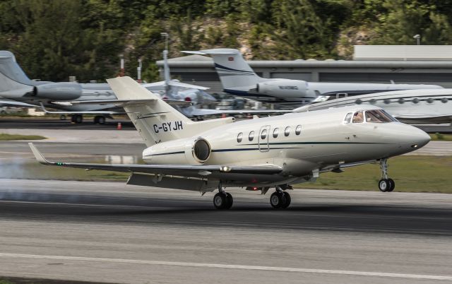 Hawker 800 (C-GYJH)