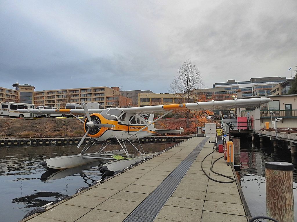 De Havilland Canada DHC-2 Mk1 Beaver (N900KA) - Maggie