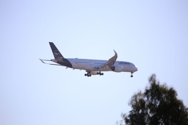 Airbus A350-900 (D-AIXN)