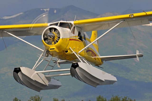 Cessna 402 (N55WE) - DHC-2 Beaver