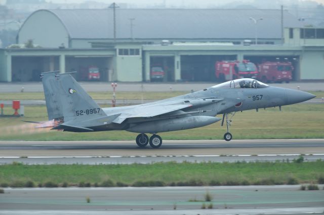 McDonnell Douglas F-15 Eagle (52-8957)