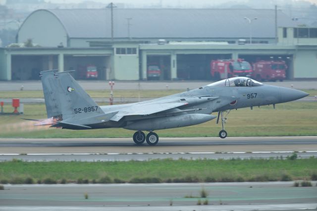 McDonnell Douglas F-15 Eagle (52-8957)