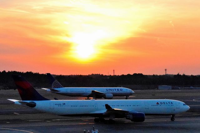 Airbus A330-300 (N816NW)