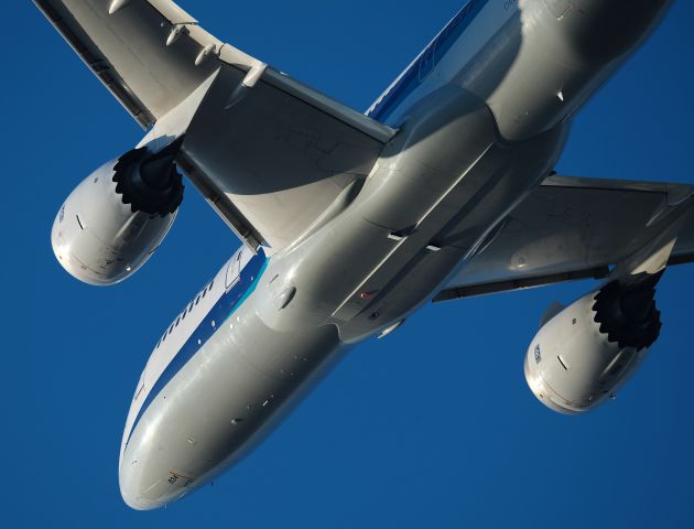 Boeing 787-8 (JA834A)
