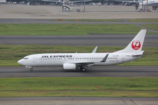 Boeing 737-800 (JA308J)