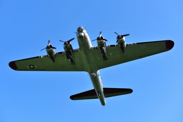 Boeing B-17 Flying Fortress (N5017N)