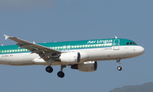 Airbus A320 (EI-DES) - Detalles EI-DES Aer Lingus Airbus A320-214 LPA/GCLP Spotting 