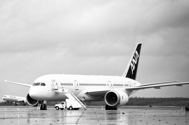 Boeing 787-8 (N1006F)