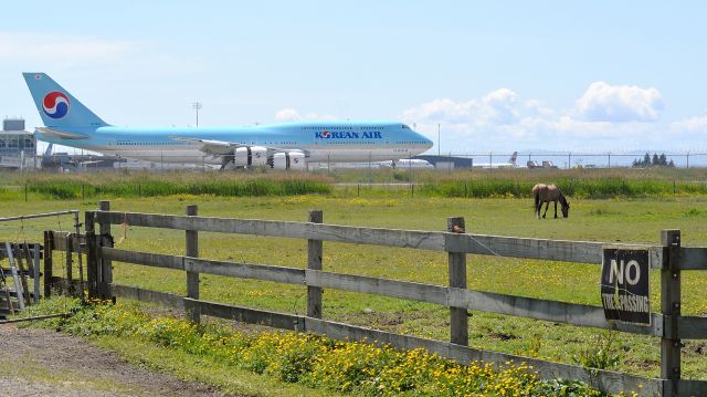 BOEING 747-8 (HL7630)