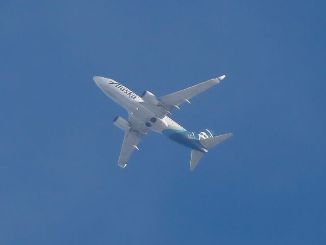 Boeing 737-700 (N644AS) - Alaska Airlines ASA88/AS88 to Anchorage (PANC/ANC) climbing out past the Muni airport after a runway 19 departurebr /Reg: N644ASbr /MSN: 30795br /Type: Boeing 737-790--B737--73Gbr /Photo date: 10-22-24br /Upload date: 12-15-24
