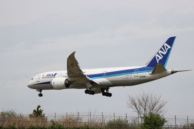 Boeing 787-8 (JA808A) - May 11, 2024:HND-HKD.