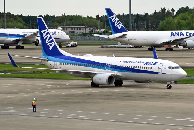 Boeing 737-800 (JA65AN)