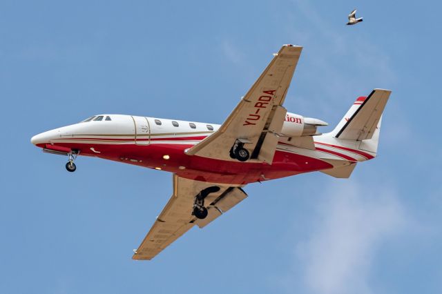 Cessna Citation Excel/XLS (YU-RDA)