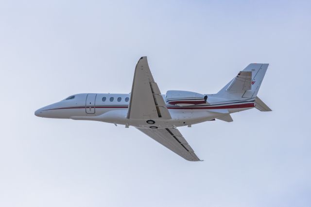 Cessna Citation Latitude (N600LN) - A Cessna Citation Latitude taking off from PHX on 2/13/23, the busiest day in PHX history, during the Super Bowl rush. Taken with a Canon R7 and Canon EF 100-400 II L lens.