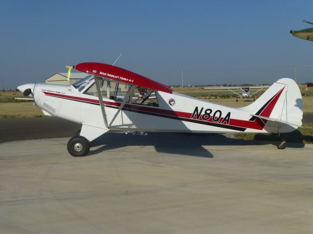 Piper L-21 Super Cub (N80A)