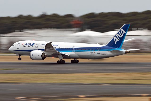 Boeing 787-8 (JA828A)