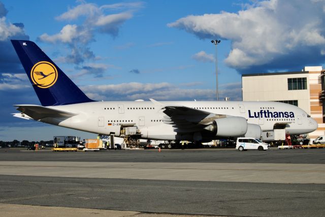 Airbus A380-800 (D-AIML)