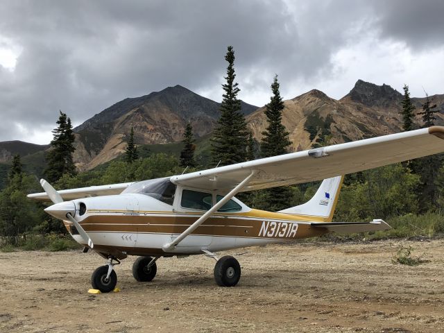 Cessna Skylane (N3131R) - Blueberry picking at Sheep Mountain Lodge, Alaska.