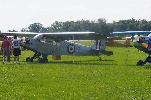Piper L-21 Super Cub (N37916)