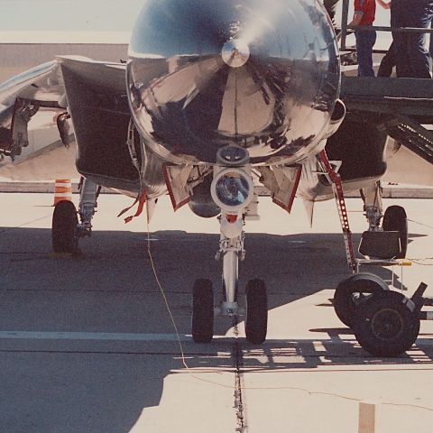 Grumman F-14 Tomcat — - Nose picture of F-14 on display at the KFWH Air Show