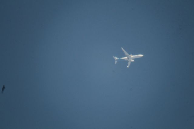 Boeing 737-900 (N248AK) - Over MMTJ 10,000 ft