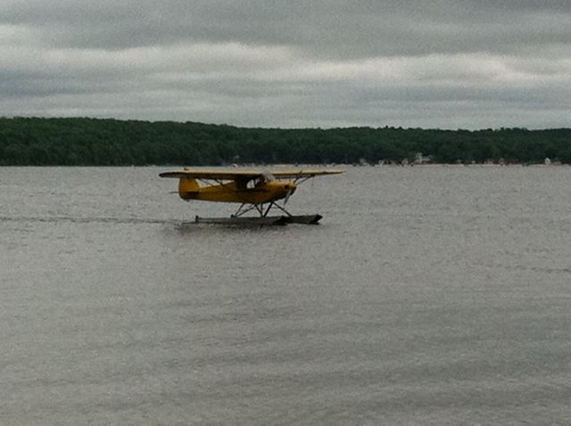 Piper L-21 Super Cub —