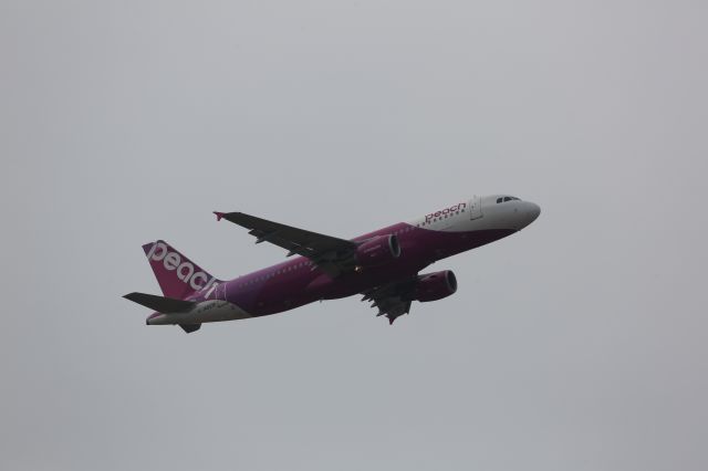 Airbus A320 (JA803P)