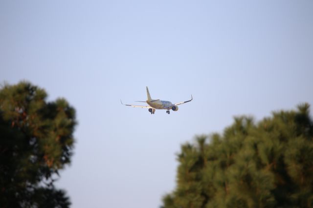 Airbus A320neo (N935NK)