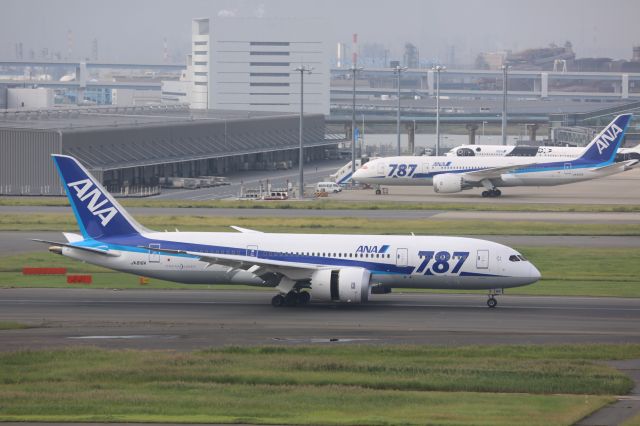 Boeing 787-8 (JA816A)