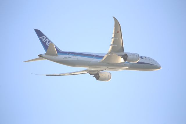 Boeing 787-8 (JA813A)