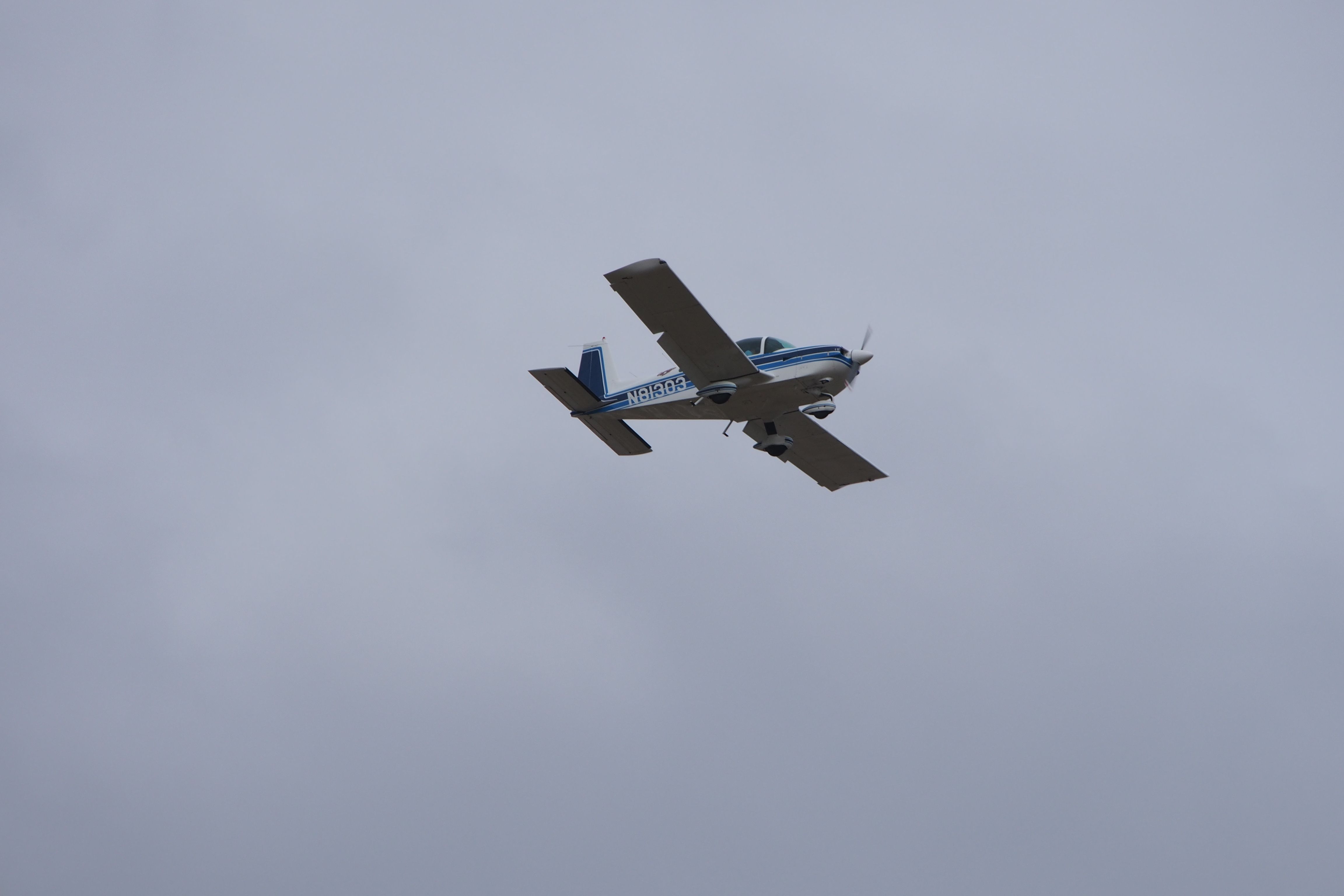 N81303 —