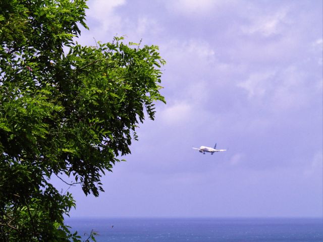 Airbus A321 (N974JT)