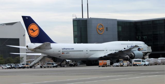BOEING 747-8 (D-ABYG)